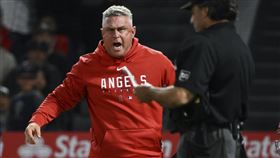 ▲天使隊總教練奈文（Phil Nevin）比賽中在休息區發火。（資料圖／美聯社／達志影像）
