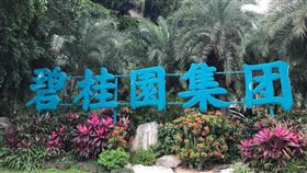 碧桂園。（圖／翻攝自微博）