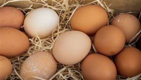紅白蛋殼營養素有差？　2選蛋小妙招（示意圖／unsplash）