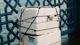 保麗龍,棄屍,海邊,釣魚,保溫,（示意圖／pexels）