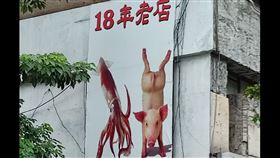 豬,魷魚,倒立,廣告,魷魚羹,信義區,