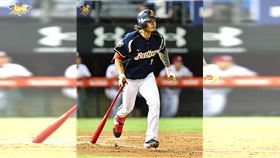 ▲張志豪因為前1戰美技守備造成右手肘骨裂，預計休3週。（圖／翻攝自兄弟Fans Club官方FACEBOOK粉絲專頁）