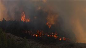 西班牙田尼利夫島（Tenerife）一座國家公園爆發野火（圖／路透社／達志影像）