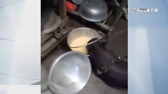 狂喝小米酒！小豬仔醉倒6小時　飼主傻眼