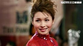 嚴淑明走紅毯造型超吸睛。（圖／嚴淑明提供）