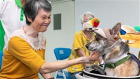 銀髮奧運暖身、預備備！狗醫師來機構陪伴長者運動（業配勿用）