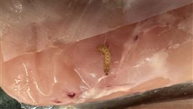 好市多,雞胸肉,肥蟲,出包,麵包蟲,食安(讀者提供)