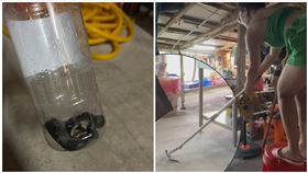 眼鏡蛇,那魯灣,新竹市,（圖／翻攝畫面）