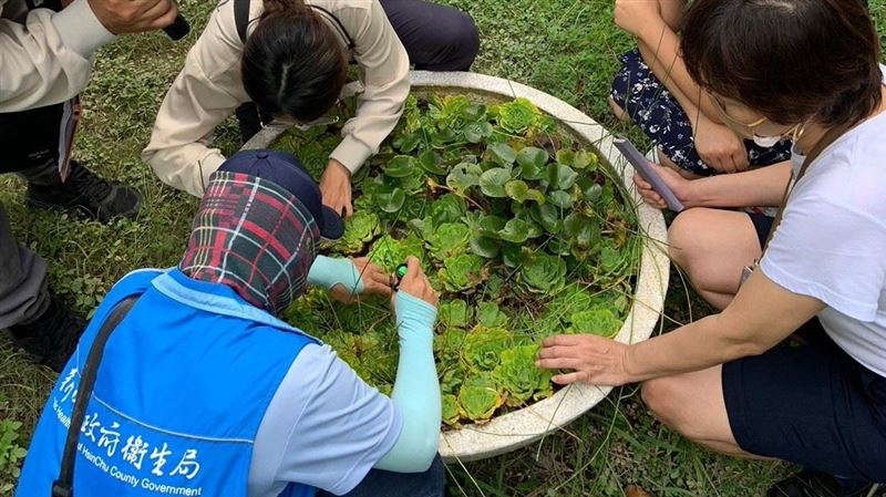 竹縣爆首例本土登革熱　去南部腳被蚊子叮