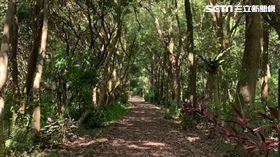 魔王崖,虎山。（圖／黃男提供）