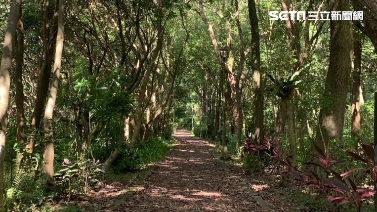 他闖虎山鬼遮眼？江柏樂：撞煞3症狀全中