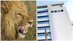 群創,處長,性愛片,台南萬豪101酒店,元配,潛規則