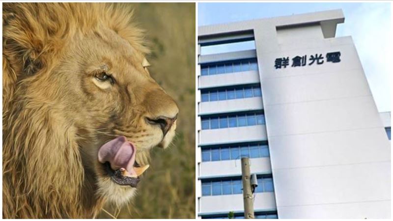 面板三虎發威！群創併購大爆發噴漲停鎖死