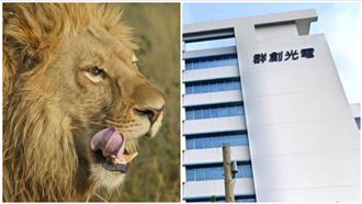 面板三虎發威！群創併購大爆發噴漲停鎖死