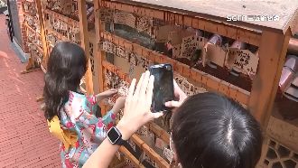 換裝網美照怎麼拍？午後14-16點光線佳