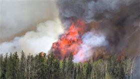 加拿大野火／美聯社