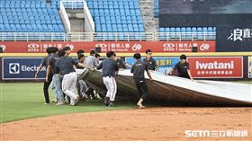 ▲林子偉中職初登場，比賽因雨暫停。（圖／記者劉彥池攝影）
