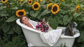 英國,農場,向日葵,裸拍,