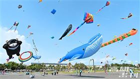 高雄,旗津,風箏節,違規,罰單