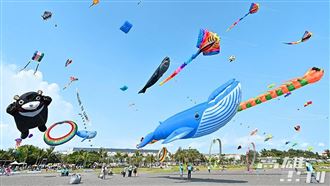 高雄風箏節警開單來真的　旗津居民炸鍋了