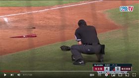 ▲主審蘇建文被蔣少宏的斷棒擊中。（圖／翻攝自CPBLTV）