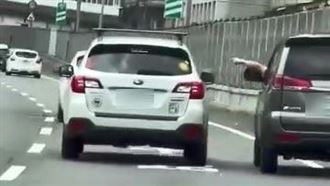 台64驚見「高架猴」！　比手畫腳蛇行逼車