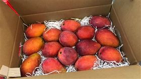 中元節稽查(北市衛生局提供)