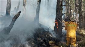 玉山大火／林務局嘉義林區管理處提供