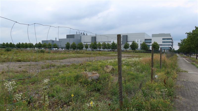 台積電德國設廠　官員：調整課程配合用人