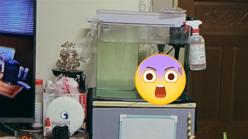 她看電視驚見女童頭掛魚缸上　崩潰揭真相