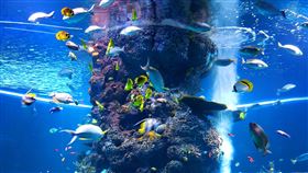 海洋,核廢水。（圖／翻攝自pexels）