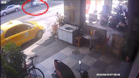 車禍,安平,爛醉,奧迪,妙齡