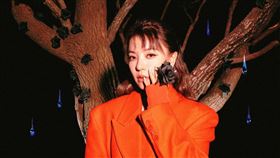 丁噹（圖／相信音樂提供）