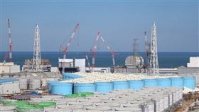 東電幹部木元崇宏說，日本政府正在檢討將核廢水排入環境中，東電正等待政府決定處理方針。圖為福島第一核電廠外放置含氚廢水的儲存槽。（圖／翻攝自東京電力控股有限公司網頁tepco.co.jp）
