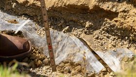 新竹棒球場,檢測報告,土壤（圖／新竹市政府提供）