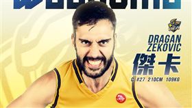 ▲傑卡（Dragan Zeković）18年籃球生涯，都在歐洲各大聯賽發展。（圖／新北中信特攻球團提供）