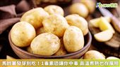 馬鈴薯發芽別吃！1毒素難除　中毒風險高