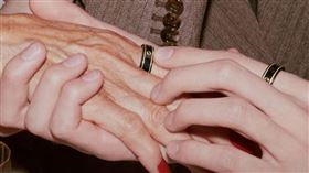 圖／翻攝自官網