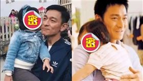 劉德華,朱麗倩,劉向蕙,Hanna,豪宅,私人飛機