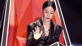 好聲音風波讓經常擔任導師的那英以及姊姊那辛被點名。（圖／翻攝自微博）