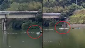 新竹,峨眉湖,SUP,立式划槳,滅頂（圖／翻攝自記者爆料網）