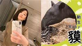 ▲馬來貘，柯佳嬿，施柏宇。（圖／翻攝自臉書）