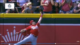 ▲小球迷搶在外野手上方接走全壘打，菲姆（Tommy Pham）的3分砲變出局。（圖／翻攝自MLB官網）