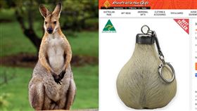 袋鼠蛋蛋鑰匙圈一個要價新台幣815元。（圖／pixabay、翻攝自Australia the Gift）