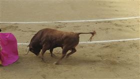 鬥牛https://www.flickr.com/photos/themuddler/19130742131/in/photolist-v9w48z-ucnSEt-uRCbkQ-uccYTS-73cXWk-v9dnAX-73cVvF-ePj89J-73cPHT-73gMDh-73gV9m-73gLUE-3BnvsU-73cRWx-73gPBw-73gXx9-29DL88-dutPM8-duzoNf