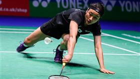 新科球后安洗瑩首闖世錦賽，將有望幫韓國帶回首座女單世界冠軍。（圖／翻攝自BWF官網）