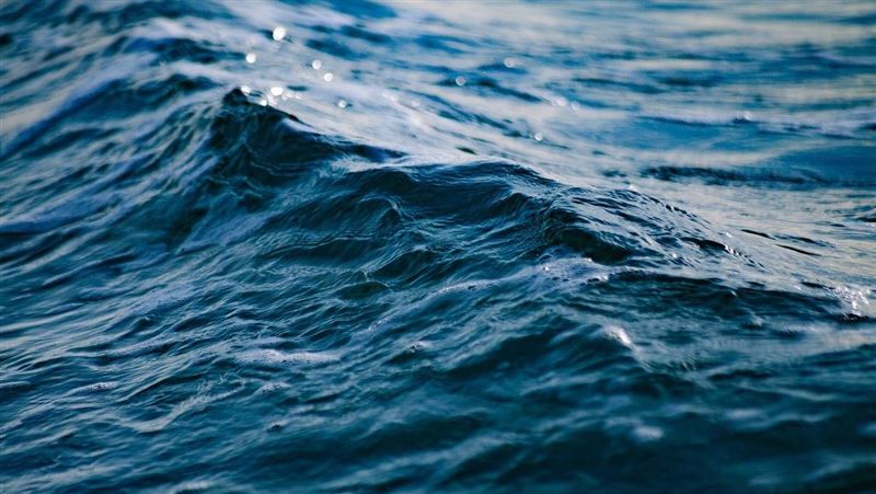 日排核廢水掀囤鹽潮　台鹽：供應國內無虞