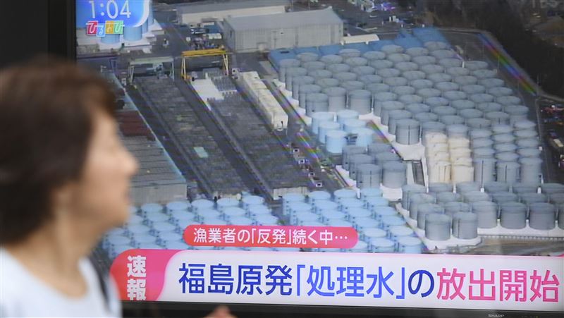 日排核處理水台鹽漲停板　專家解惑勸這事