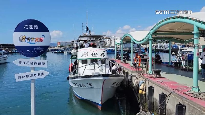 蘇拉颱風靠近　釋迦果農搶收、漁船全靠岸