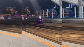 輕軌猴子,山道猴子,高雄捷運